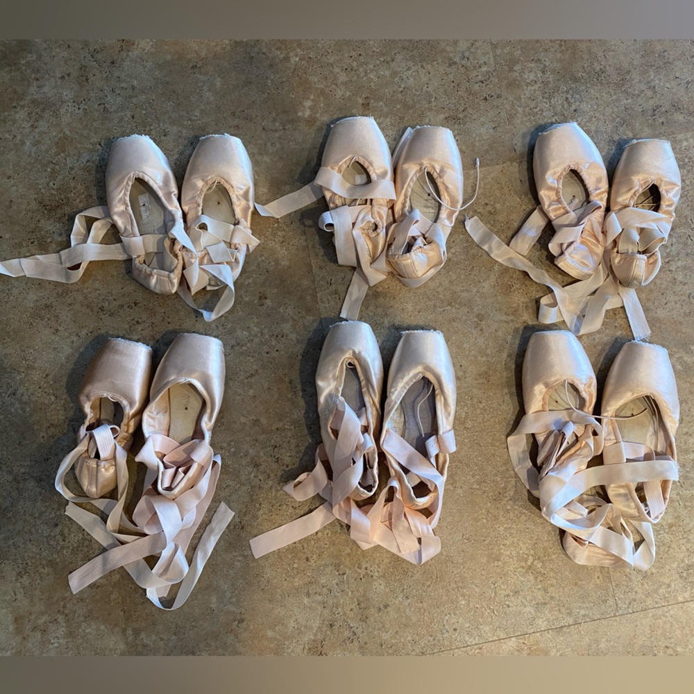 Dead/worn pointe shoes for art